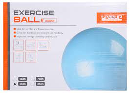 Lineup Exercise Ball Ls3221