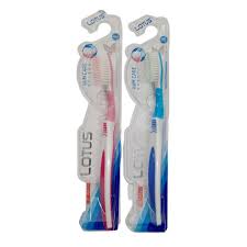 [A06671] Lotus oral care toothbrush N:l-531y