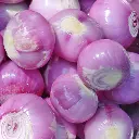 onion-red-peeled-freshleaf-dubai-uae-img04.webp