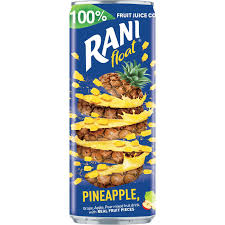 Fruit Float  Pineapple 240ml