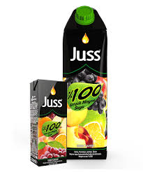 Juss mixed fruit juice 200ml