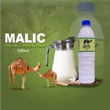 Malic fresh camel milk 500ml