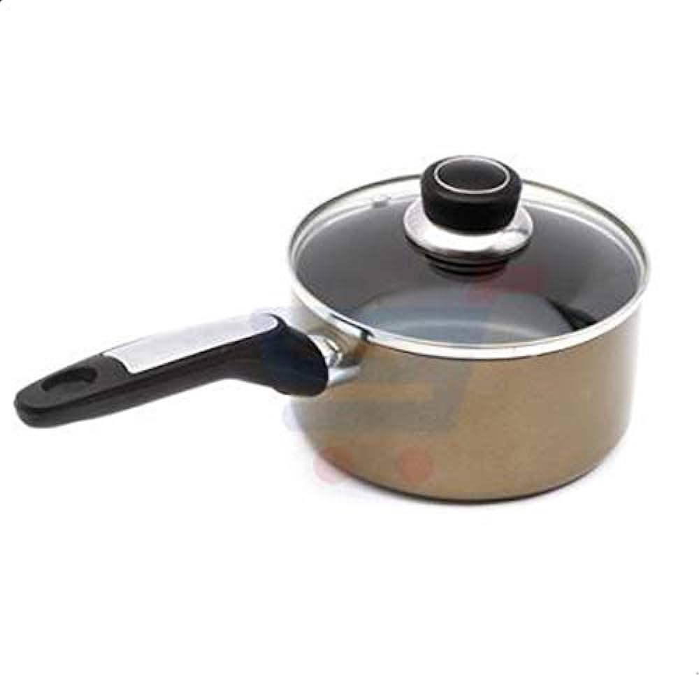 RF2961 SAUCE PAN WLID