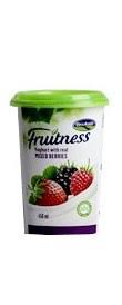 Brookside Fruitness Yughurt with real mixed berries 450ml
