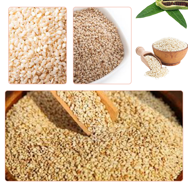 Sisin cad 500g