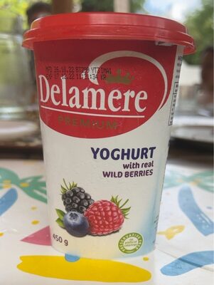Delamere Premium Yoghurt With Reel Wild Berries 450g