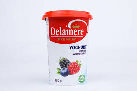 Delamere Premium Yoghurt With real Wild Berries 250g