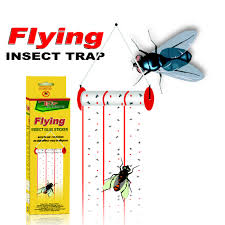 Trap Expert Flying Insect Glue Sticker No=3-2