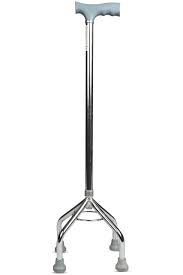 Walking Stick