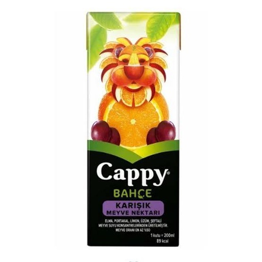 [A02022] Cappy  Karisik meyve 200ml