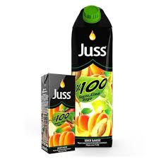 [A05881] Juss Apple Juice 200ml