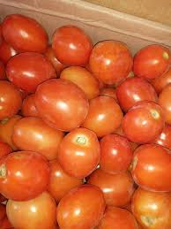 [A12219] Yaanyo Sabirsaan 1kg