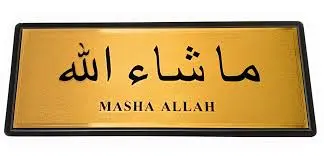 [A15422] Italo gold sticker no:nw510-17