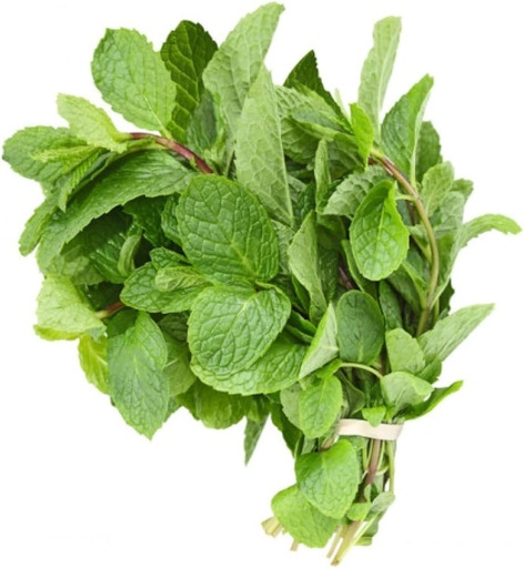 [A18142] Mint Leaves 1kg