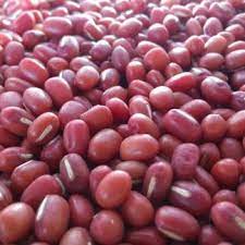 [A18161] Digir gaduud 1kg