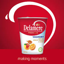 [A18543] Delamere Premium Yoghurt With real Apricot Orange&honey 250g