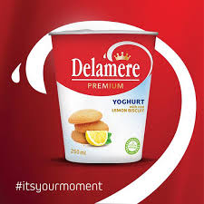 [A18886] Delamere Yoghurt With Real Lemon Biscuit 250