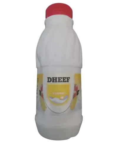 [A19266] Dheef Yoghurt Mango 500ml