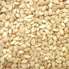 [A20329] Watermelon seeds 1kg