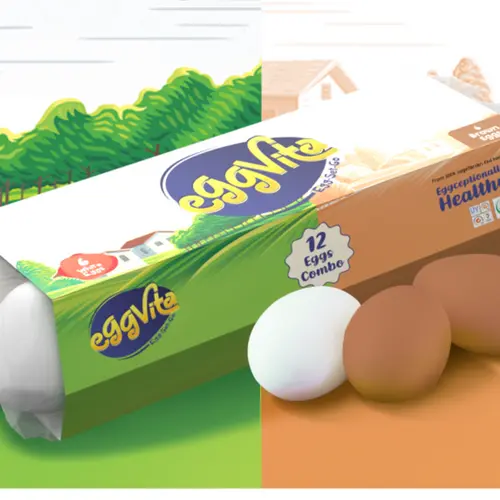 [A26062] Eggvita Egg Set Go 6pcs