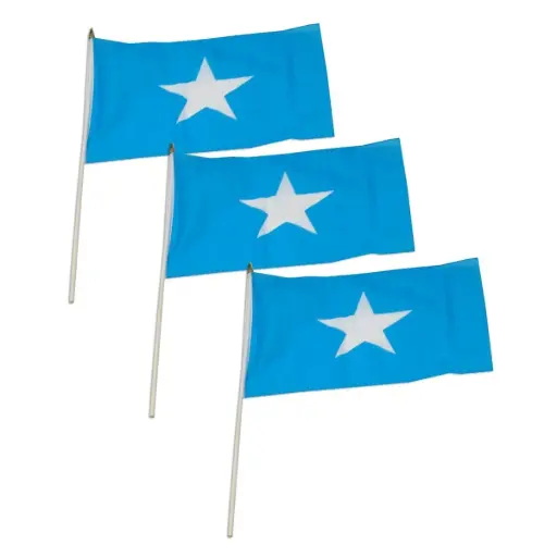 [A26085] Somali Desk Flag (calan)
