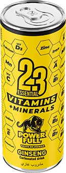 [A26334] 23 Vitamin Ginseng Carbonated Drink 250ml