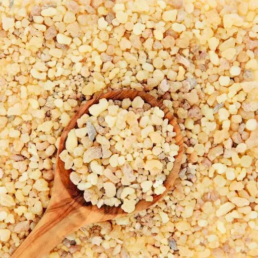 [A26486] luubaan udgoon