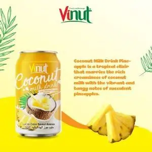 [A27459] Vinut Coconut Milk Drink With Ananas Flavour 330ml