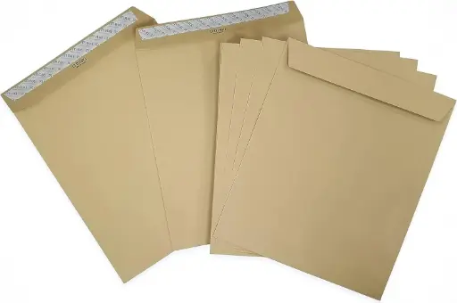 [A27631] Brown Envelope Peel & Seal Platinum